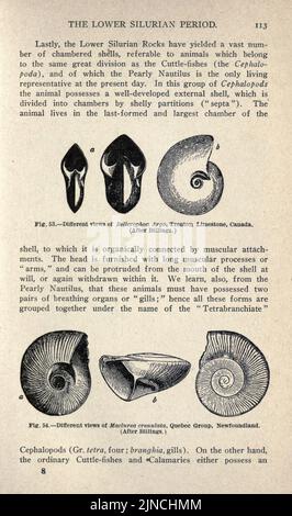 L'antica vita-storia della terra (pagina 113) Foto Stock