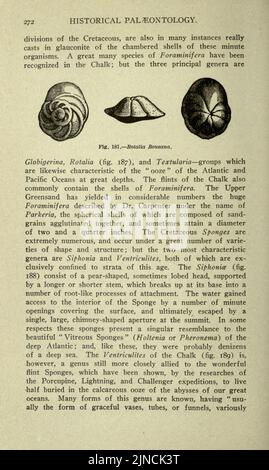 L'antica vita-storia della terra (pagina 272) Foto Stock