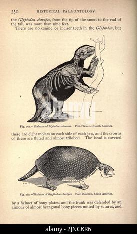 L'antica vita-storia della terra (pagina 352) Foto Stock