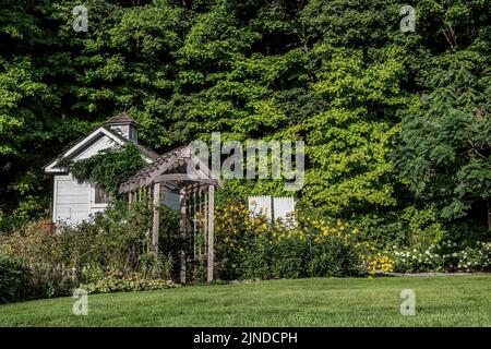 Bel giardino di fine estate con un pergolato, capannone e fiori di girasole in crescita. Foto Stock