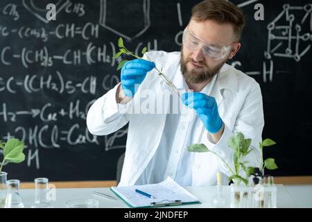 Il biologo conduce esperimenti sperimentando l'allevamento di piante mediante sintesi di composti, con l'uso di una provetta in un laboratorio moderno Foto Stock