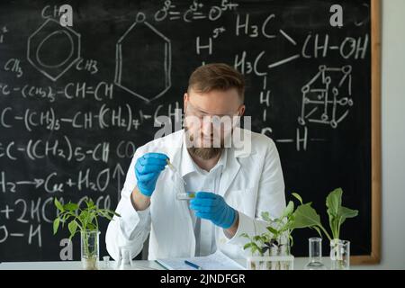 In un laboratorio moderno, il ricercatore conduce esperimenti con la sintesi di composti utilizzando contagocce e piante in provetta. Scienziato nel laboriatore Foto Stock