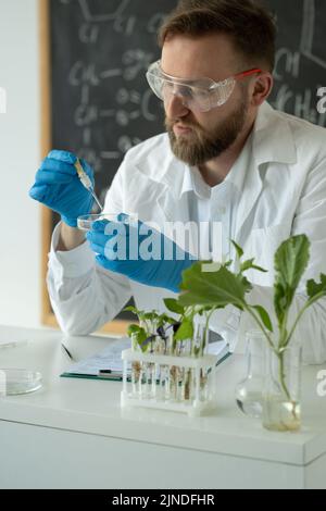 In un laboratorio scolastico, il biologo conduce esperimenti sintetizzando composti con l'uso di contagocce e piante in una provetta, da vicino. Biotecnologia Foto Stock