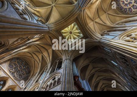 Interno della magnifica Cattedrale di Truro in Cornovaglia che mostra il dettaglio delle sculture e degli archi gotici del soffitto e del tetto. Foto Stock