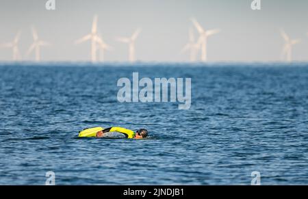 Uomo con abbigliamento galleggiante e fluorescente che nuota in mare o in oceano in una giornata d'estate, con turbine eoliche da un parco eolico in lontananza, nel Regno Unito. Foto Stock