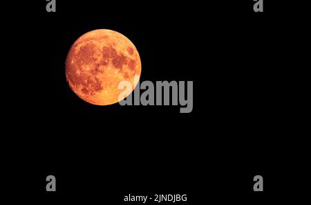 Waxing Gibbous luna al 97,5% pieno, rosso e arancione incandescente, 2022 agosto, appena sopra l'orizzonte dalla costa meridionale del Regno Unito. Con copyspace (spazio di cimasa). Foto Stock