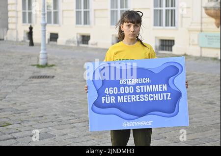 Vienna, Austria. 11th agosto 2022. Greenpeace consegna una petizione per la protezione del mare al Ministero degli Affari Esteri austriaco, firmata da 463.300 persone in Austria. Uno squalo fittizio alto cinque metri è stato appeso di fronte al Dipartimento di Stato per ricordare una seria conservazione marina. Plaque Reading '460.000 votes for Wildlife Conservation' Credit: Franz PERC/Alamy Live News Foto Stock