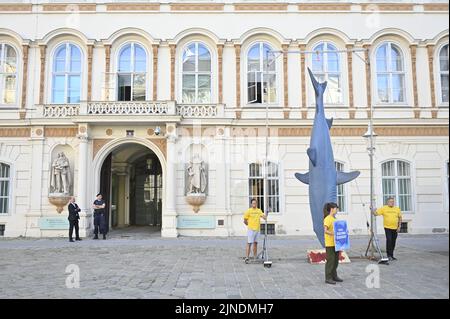 Vienna, Austria. 11th agosto 2022. Greenpeace consegna una petizione per la protezione del mare al Ministero degli Affari Esteri austriaco, firmata da 463.300 persone in Austria. Uno squalo fittizio alto cinque metri è stato appeso di fronte al Dipartimento di Stato per ricordare una seria conservazione marina. Credit: Franz PERC/Alamy Live News Foto Stock