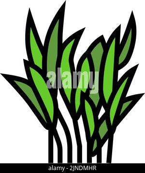 illustrazione del vettore delle icone a colori java fern Illustrazione Vettoriale