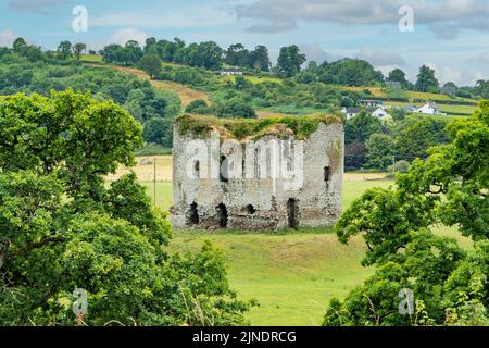 Castello di Grennan, Thomastown, Co. Kilkenny, Irlanda Foto Stock