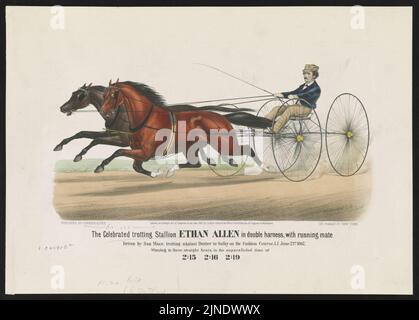 Il famoso trotting Stallion Ethan Allen in doppia imbracatura, con il compagno di corsa guidato da Dan Mace, trotting contro Dexter a Sulky sul corso di moda, L.I. Giugno 21st 1867, vincendo Foto Stock