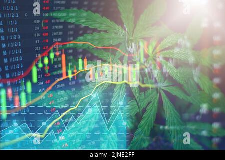 La cannabis commerciale lascia il mercato azionario della marijuana o l'analisi commerciale indicatori grafici degli investimenti. Il concetto di una società o di un marchio di magazzino Foto Stock