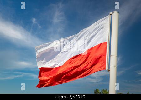 Bandiera polacca sullo sfondo del cielo blu Foto Stock
