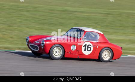 1961 Austin Healey Sebring Sprite con il pilota Ellis Bardsley durante la gara Weslake Cup al Goodwood 79MM, Sussex, UK. Foto Stock