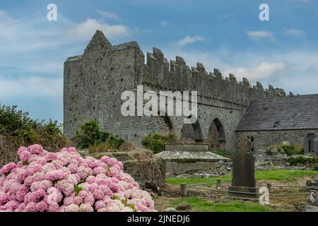 Rovine della Cattedrale di Ardfert, Ardfert, Co. Kerry, Irlanda Foto Stock