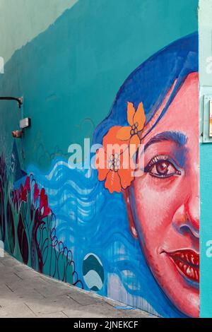 Love Lane Street Art, Dublino, Irlanda Foto Stock