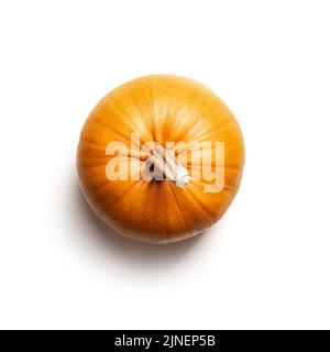 Zucca arancione isolata su sfondo bianco. Fotografia di cibo. Concetto di Halloween. Vista dall'alto. Parte di set diversi tipi di zucche. Foto Stock