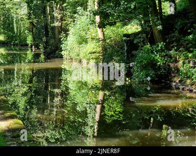 Riflessioni sul Peak Forest Canal. REGNO UNITO Foto Stock