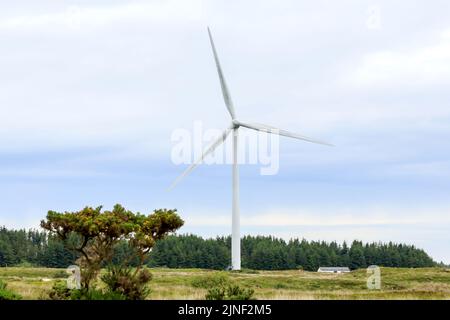 Turbina eolica singola che si trova nella campagna scozzese Foto Stock