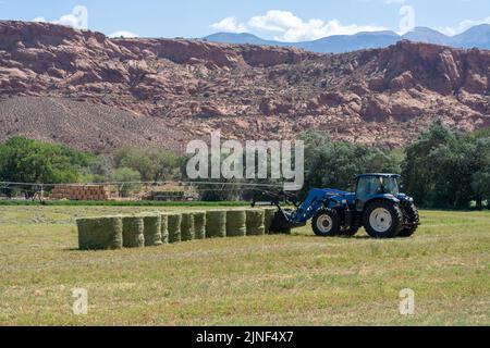 Rotolate le balle di fieno afa con un trattore su un ranch nella Valle Spagnola, vicino a Moab, Utah. La SAL Montagne sullo sfondo. Foto Stock