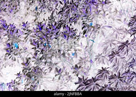 Un unico albero verde con una panchina per rilassarsi, un albero Lonely sullo sfondo del cielo blu Foto Stock