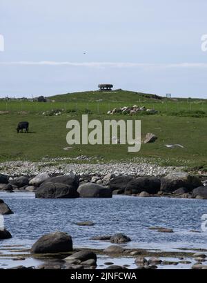 Nesheim, Norvegia - 30 maggio 2022: Campo di tiro e allenamento Marka. Stazione aerea Lista. Era una batteria costiera dell'esercito con la più grande potenza di fuoco dell'area Foto Stock