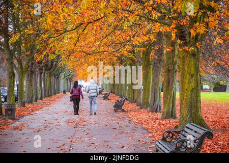 Londra, Regno Unito - 3 novembre 2021 - Coppia che cammina su un sentiero alberato nel parco di Greenwich durante la stagione autunnale Foto Stock