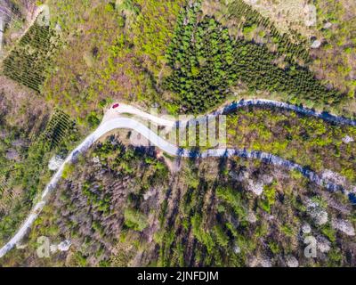 Vista aerea dall'alto verso il basso del drone della strada curva nella foresta. Foto Stock