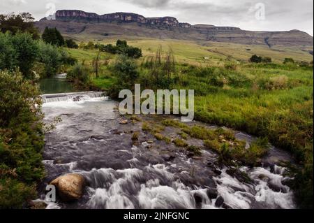 La sorgente del fiume Little Mooi nella provincia di KwaZulu Natal in Sudafrica, sulle montagne Drakensberg Foto Stock