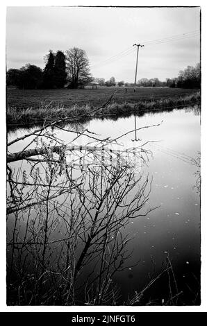 falcon prato e fiume waveney a bungay suffolk inghilterra Foto Stock