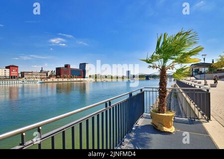 Ludwigshafen, Germania - 2022 agosto: Vista sul fiume Reno dal lungomare con palme Foto Stock