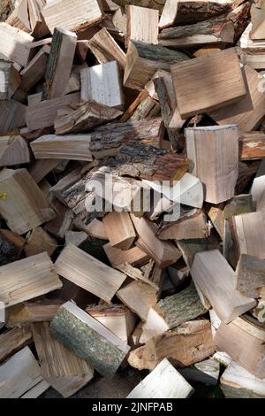 pila di tronchi di legna da ardere di stagionatura Foto Stock