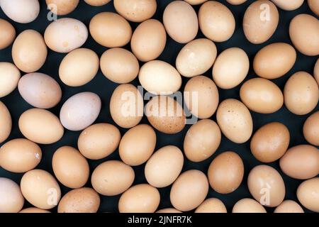 Diverse uova fresche biologiche su fondo scuro. Foto Stock