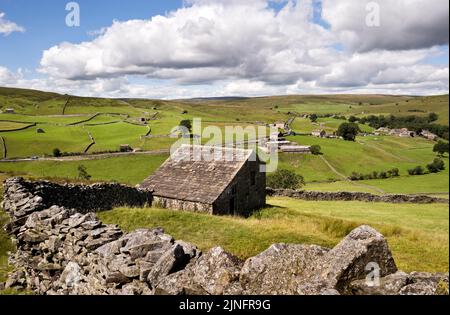 Vista sul villaggio di Keld e su diversi fienili tradizionali nella parte superiore di Swaledale, Yorkshire Dales National Park, Regno Unito Foto Stock