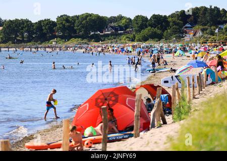 Neustadt, Germania. 11th ago, 2022. I turisti e i visitatori del giorno approfittano del clima caldo e soleggiato per visitare la spiaggia sulla costa baltica di Pelzerhaken. Credit: Christian Charisius/dpa/Alamy Live News Foto Stock