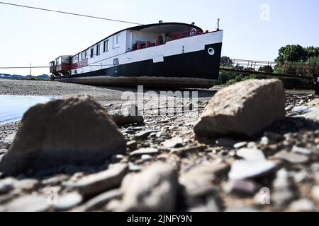 Duesseldorf, Germania. 11th ago, 2022. Una nave si trova a secco tra i groynes sul Reno. Il Reno dovrebbe fluire sempre meno acqua nei prossimi giorni. La Federal Waterways and Shipping Administration (WSV) prevede che i livelli dell'acqua continuino a diminuire fino al fine settimana. Credit: Federico Gambarini/dpa/Alamy Live News Foto Stock