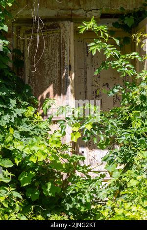 Porta in legno di una vecchia casa padronale, fatiscente e abbandonata Foto Stock