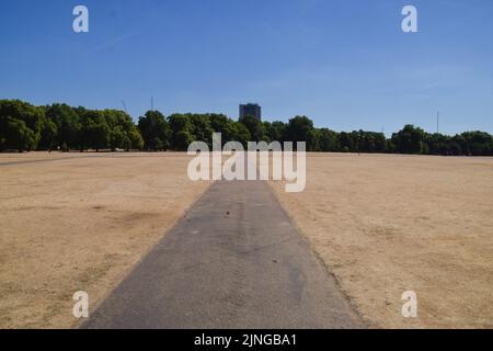 Londra, Regno Unito. 10th agosto 2022. Un paesaggio arido e arido ad Hyde Park in una giornata spaventosa, mentre nel Regno Unito continuano le ondate di caldo e la siccità provocate dal cambiamento climatico. Foto Stock