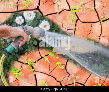 Divieto di hosepipe, siccità, riscaldamento globale, estate, cambiamento climatico, Condizioni meteorologiche estreme, Regno Unito, concetto... Foto Stock