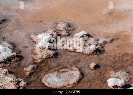 Las Salinas, sale per piscine di Formentera Foto Stock