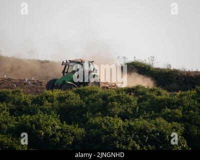 Meteo nel Regno Unito, Crantock, Cornwall, Regno Unito. Un coltivatore solleva grandi nubi di polvere dal suo suolo arido mentre erruce il terreno arato nella speranza di essere in grado di seminare raccolti. Venerdì l'Agenzia per l'ambiente si riunisce per decidere se introdurre condizioni di siccità sull'uso dell'acqua nel sud-ovest dell'Inghilterra. 11th agosto 2022. Robert Taylor Alamy Live News Foto Stock