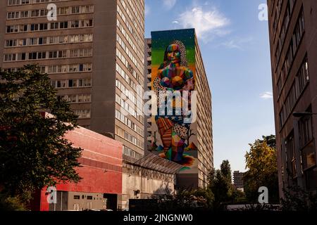 Parigi, Francia - 13 luglio: Vista del gigante murale dipinto dal titolo la Nuova Mona Lisa di Okuda San Miguel al 13th° arrondissement di Parigi su Ju Foto Stock