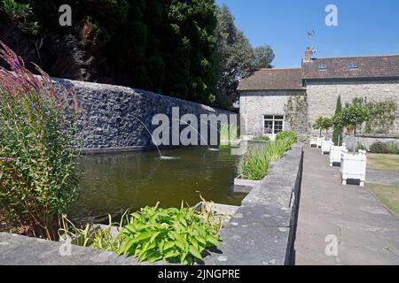 Fiori blu nel Giardino Italiano, Museo Nazionale di Storia di San Fagans. Estate 2022. Agosto. Acqua caratteristica con piante e spruci d'acqua Foto Stock