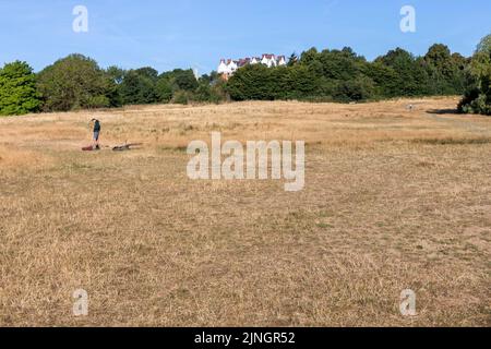 Si vede che l'erba si è asciugata ad Hampstead Heath questa mattina, mentre Londra sperimenta temperature elevate e clima secco nella prossima settimana. Immagine sh Foto Stock