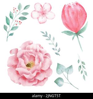 Set di fiori acquerelli rosa dipinti a mano e foglie di verde. Foto Stock