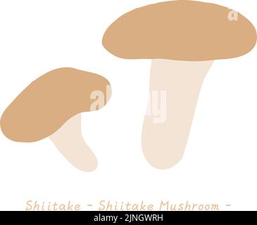 Gusto autunnale, semplice illustrazione a fungo Shiitake illustrazione vettoriale Illustrazione Vettoriale