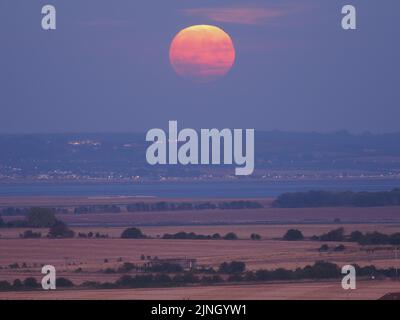 Eastchurch, Kent, Regno Unito. 11th ago, 2022. UK Weather: The full Sturgeon Moon - l'ultima superluna del 2022 - visto salire su campi arroccati in Eastchurch, Kent questa sera. Credit: James Bell/Alamy Live News Foto Stock