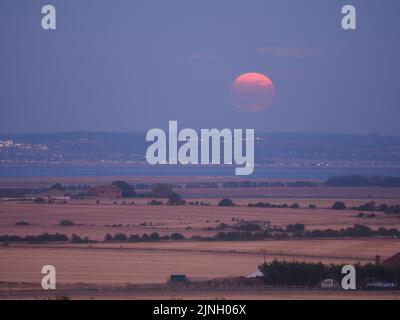 Eastchurch, Kent, Regno Unito. 11th ago, 2022. UK Weather: The full Sturgeon Moon - l'ultima superluna del 2022 - visto salire su campi arroccati in Eastchurch, Kent questa sera. Credit: James Bell/Alamy Live News Foto Stock