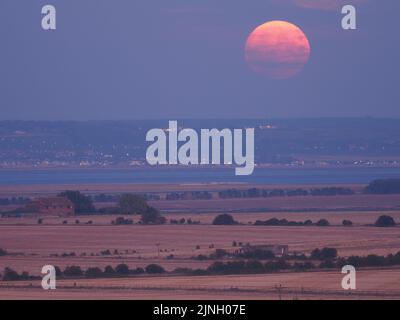 Eastchurch, Kent, Regno Unito. 11th ago, 2022. UK Weather: The full Sturgeon Moon - l'ultima superluna del 2022 - visto salire su campi arroccati in Eastchurch, Kent questa sera. Credit: James Bell/Alamy Live News Foto Stock