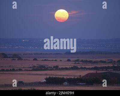 Eastchurch, Kent, Regno Unito. 11th ago, 2022. UK Weather: The full Sturgeon Moon - l'ultima superluna del 2022 - visto salire su campi arroccati in Eastchurch, Kent questa sera. Credit: James Bell/Alamy Live News Foto Stock